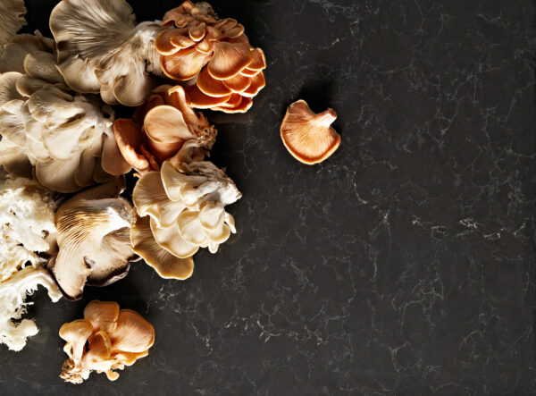 Caesarstone 5003 Piatra Grey virtuves stalvirsis