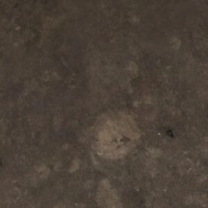 Scalea New Gris Viola