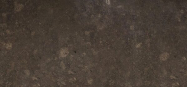 Scalea New Gris Viola